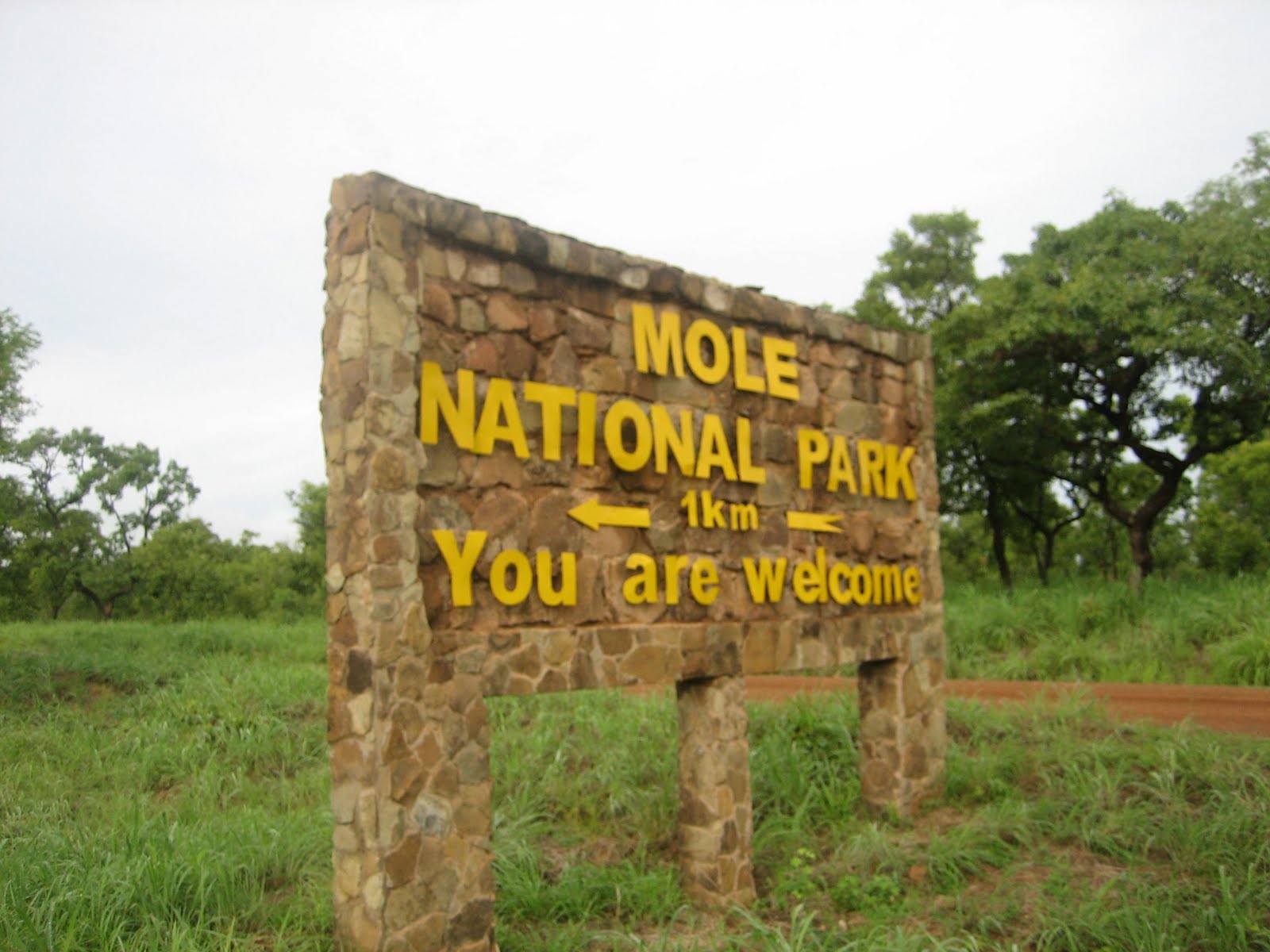 6 Things You Don't Know About Mole National Park - Frimprince Transport ...